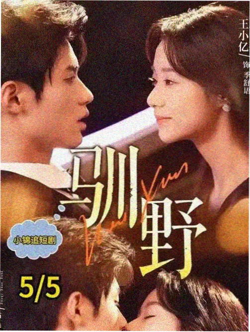 山海拾光冒险剧封面